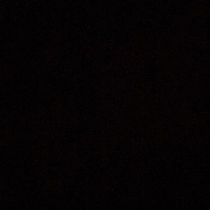 Meet your Posher, Noah